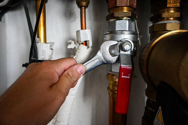 Best Commercial Plumbing Services  in Oakland, MD